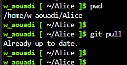 nprog00000061.png