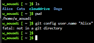 nprog00000064.png